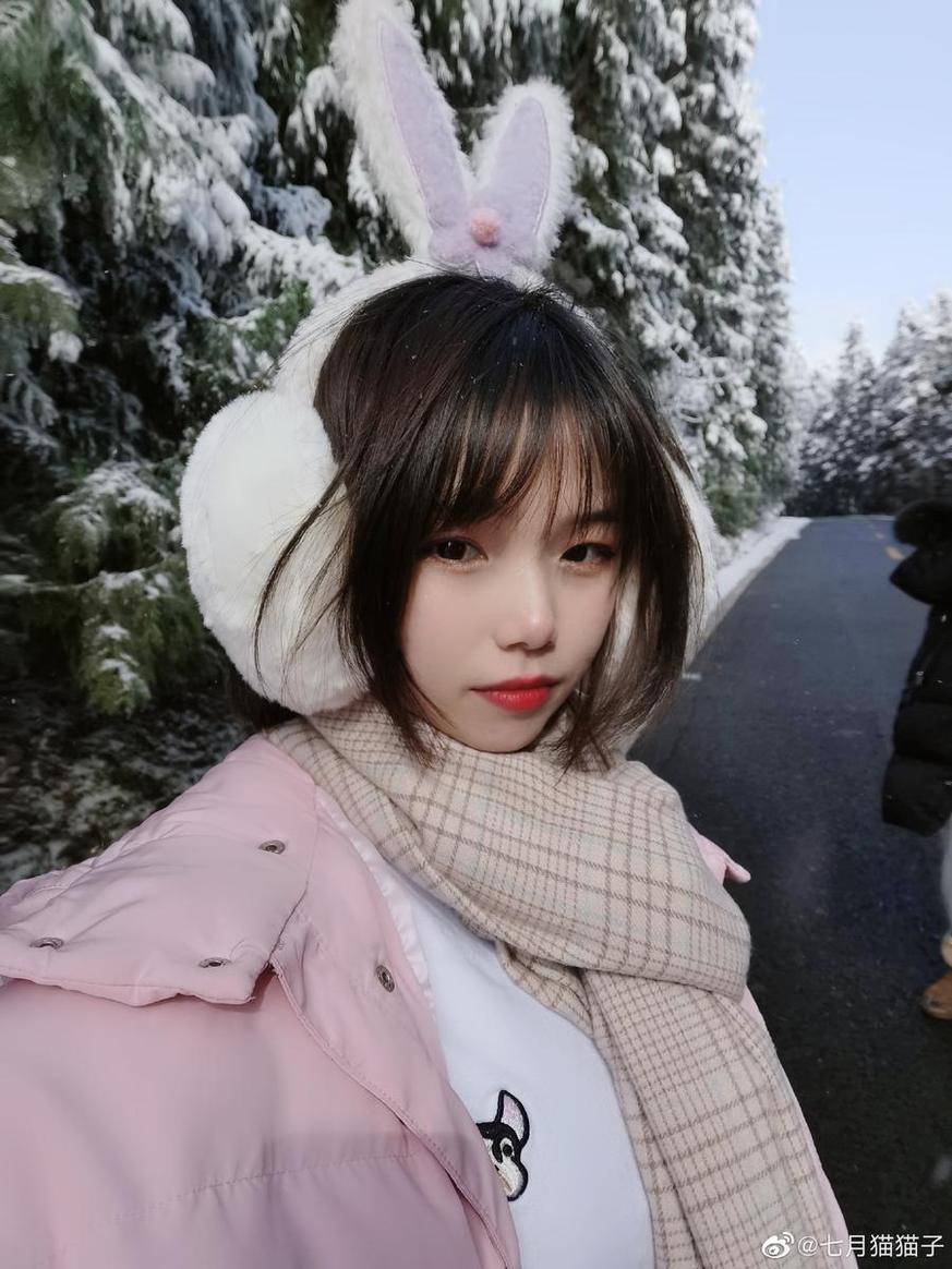 蓝鸟app七月喵子：原图分享，日光下的玫瑰如此妖娆。